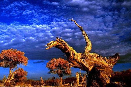 醉美西域星空：天山南北15日游